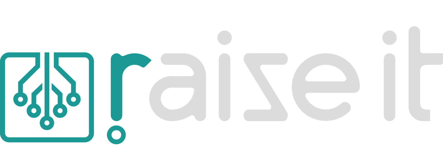 RaiseIT Logo